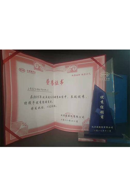 海宁市比亚迪2018优秀经销商